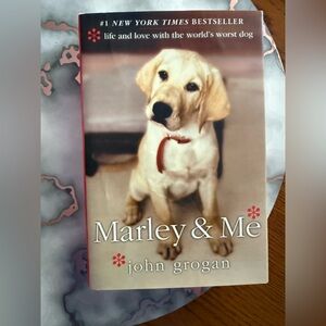 Red and White Housebreaking Dog with Gentle Nature